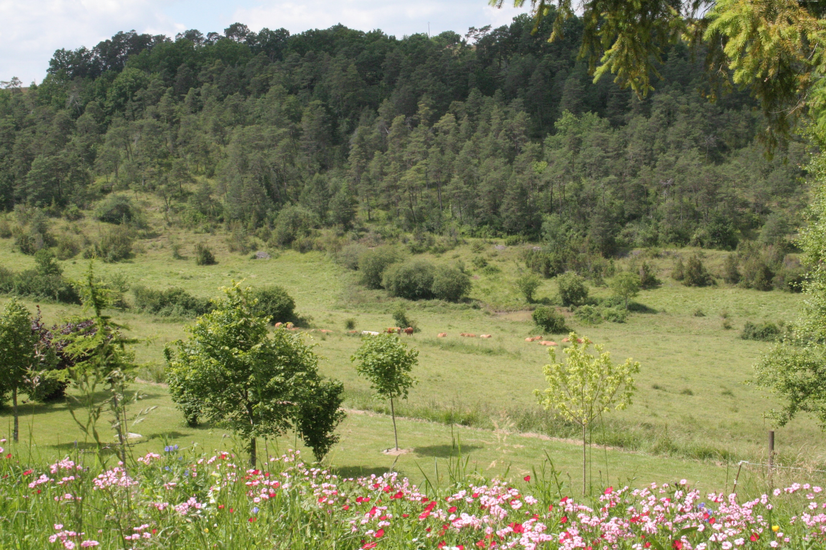 Camping Les Terrasses de Dordogne