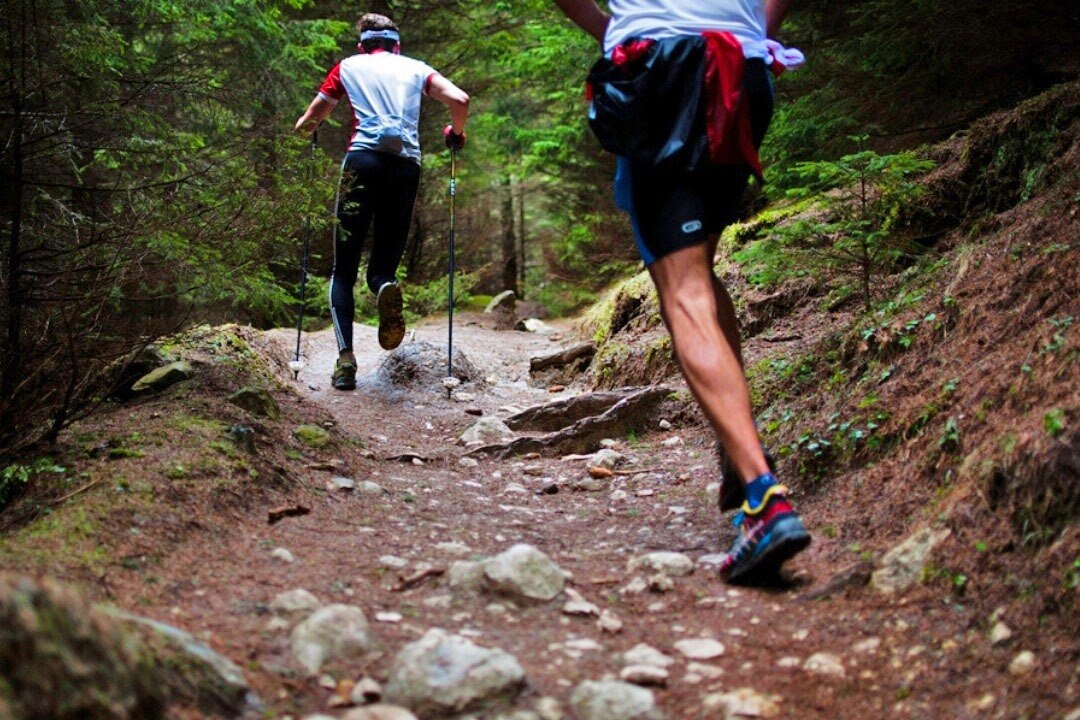 Pausado Camping Le Luberon