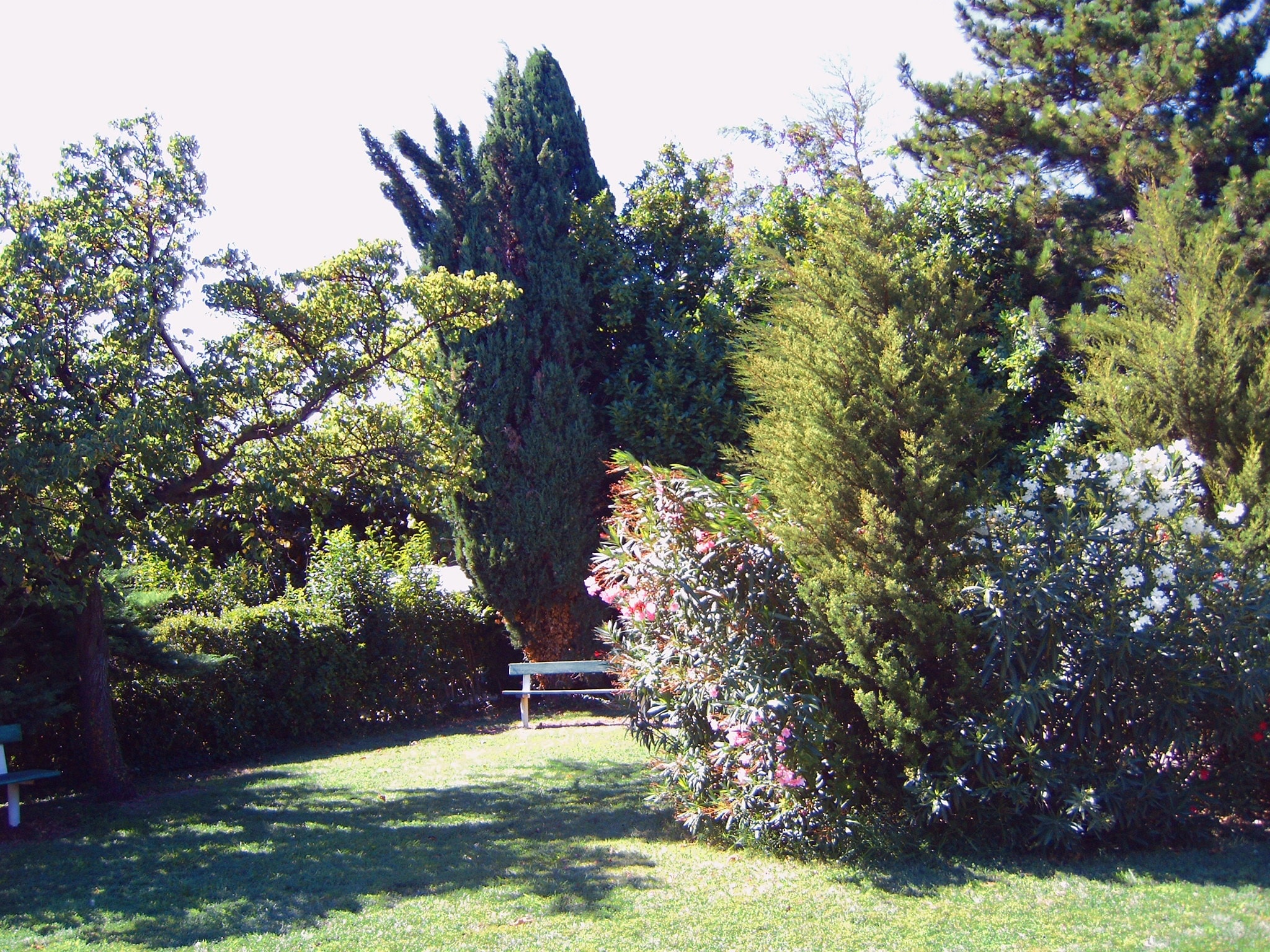 Camping Les Romarins