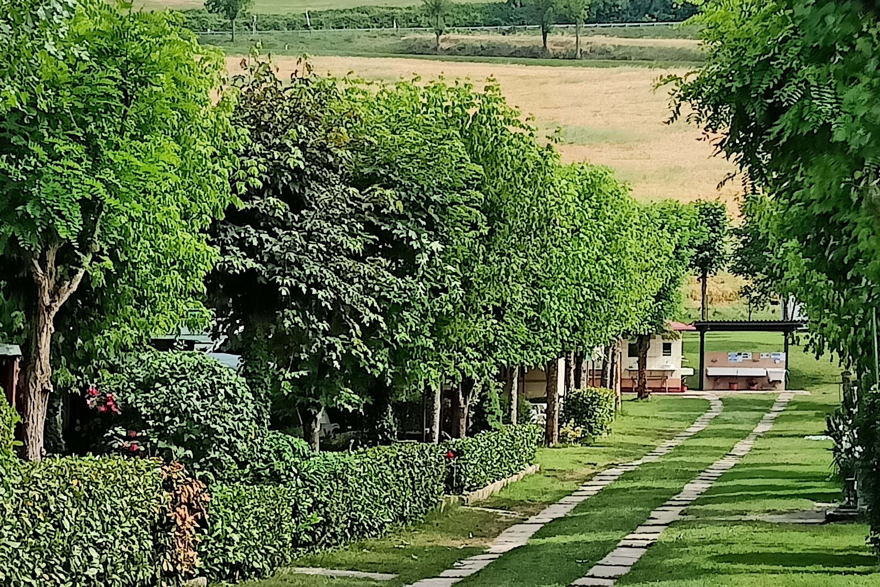 Camping Riva del Setta