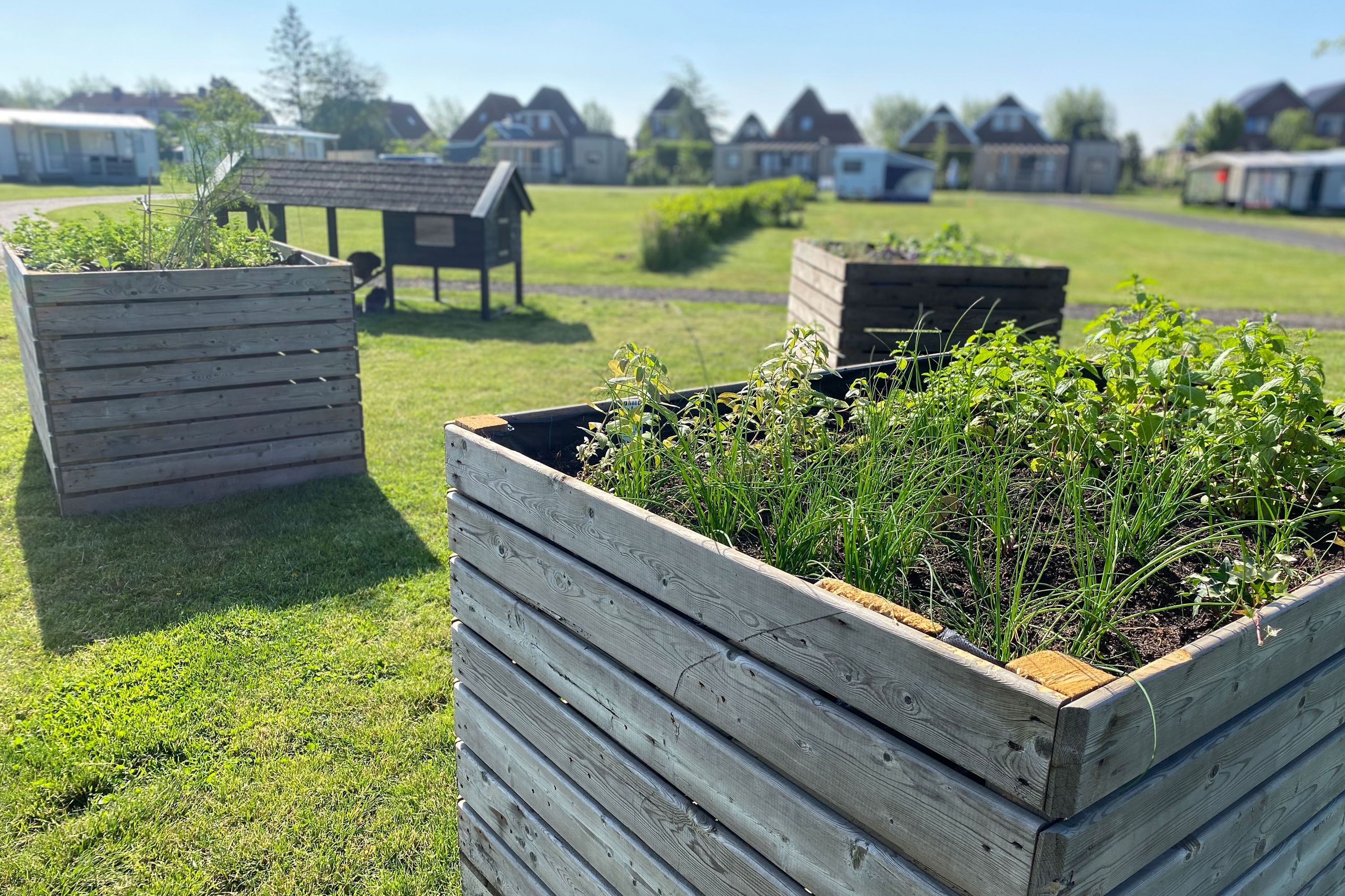 Natuurlijk de Veenhoop