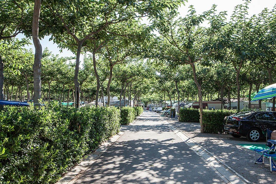 Bonterra Resort - Camping & Bungalows