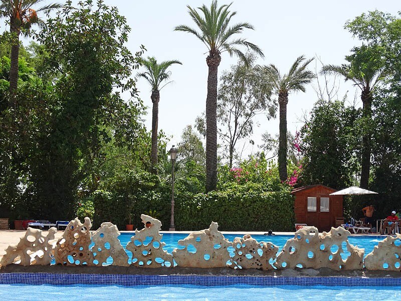 Camping Internacional Las Palmeras