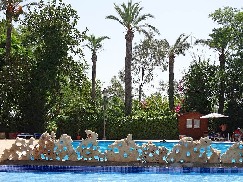 Camping Internacional Las Palmeras