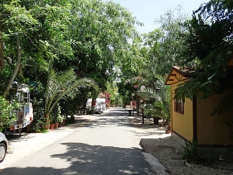 Camping Internacional Las Palmeras