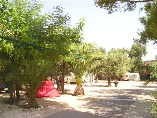 Camping Internacional Las Palmeras