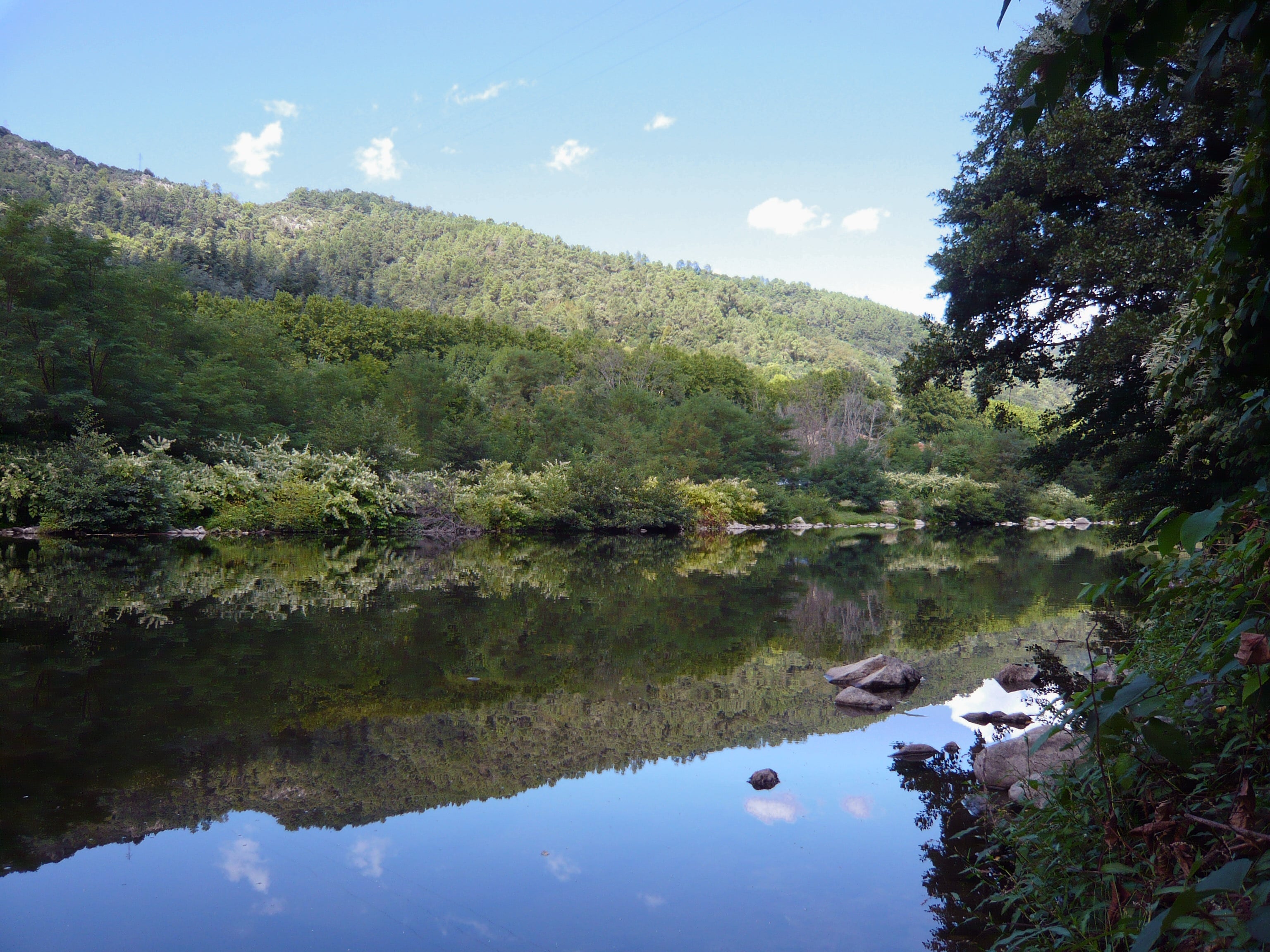 Flower Camping Mas de Champel