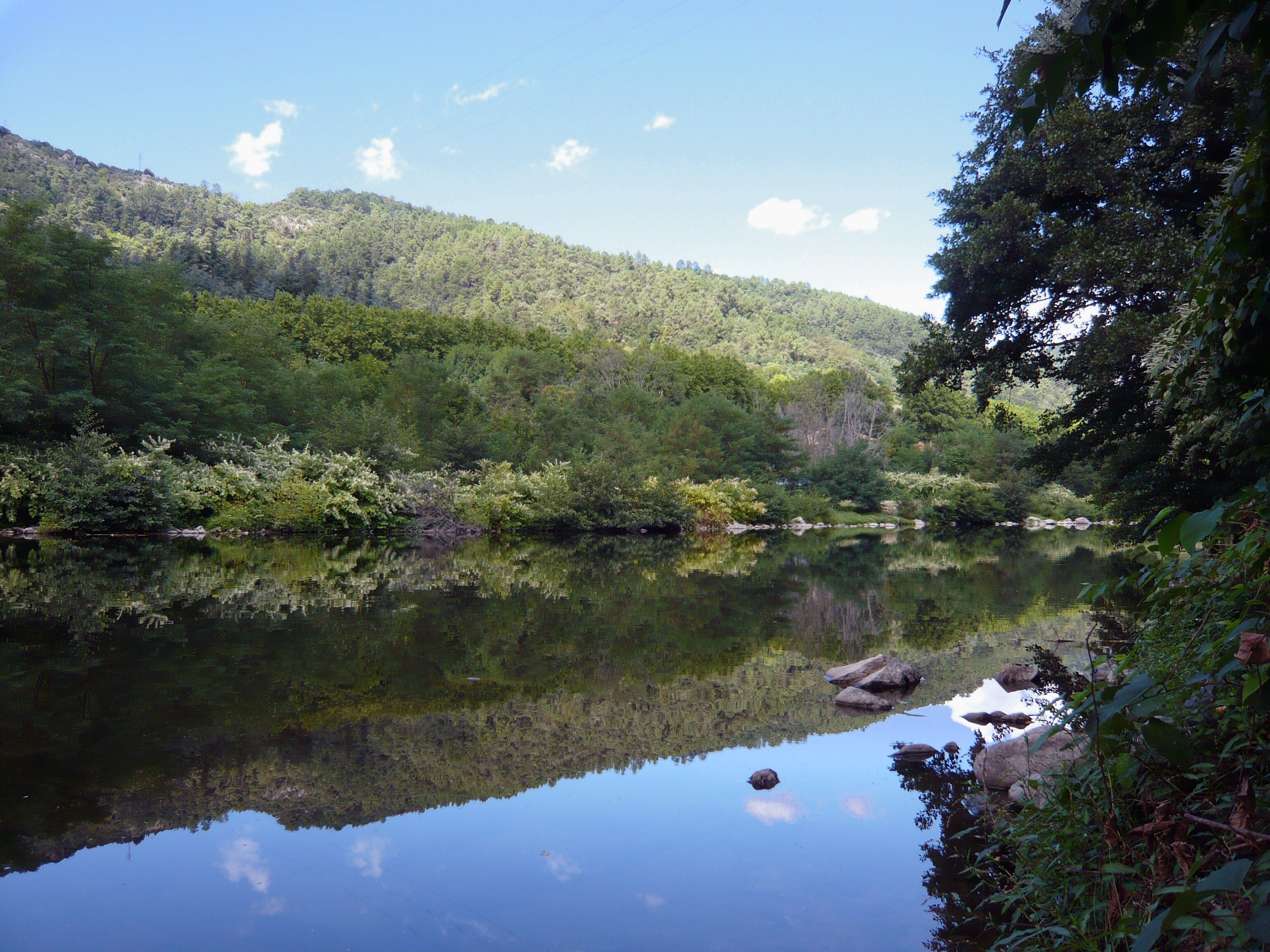 Flower Camping Mas de Champel