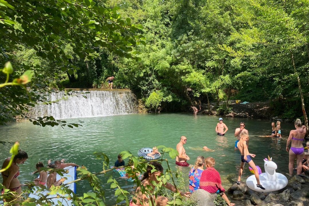 Pausado Ludo Camping