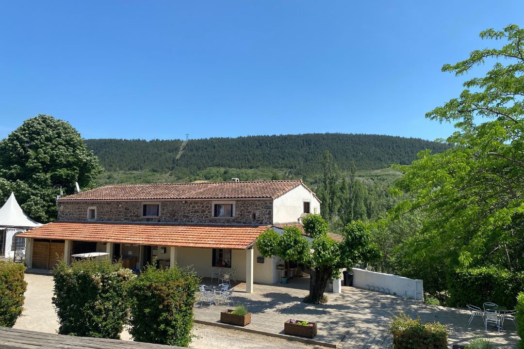 Pausado Ludo Camping