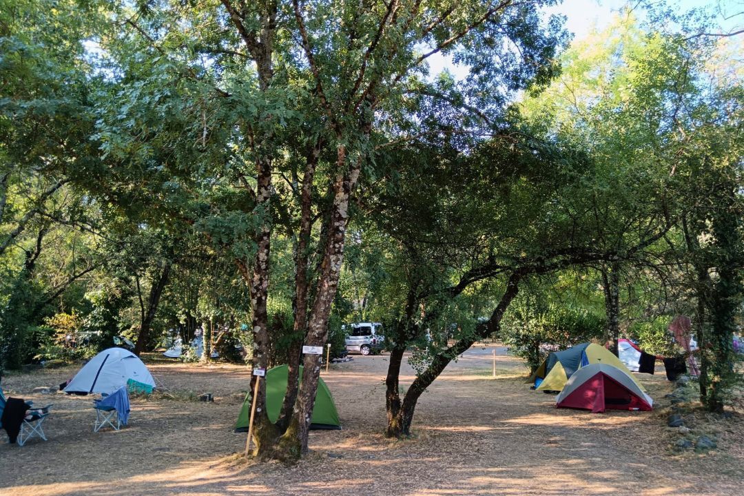 Pausado Ludo Camping