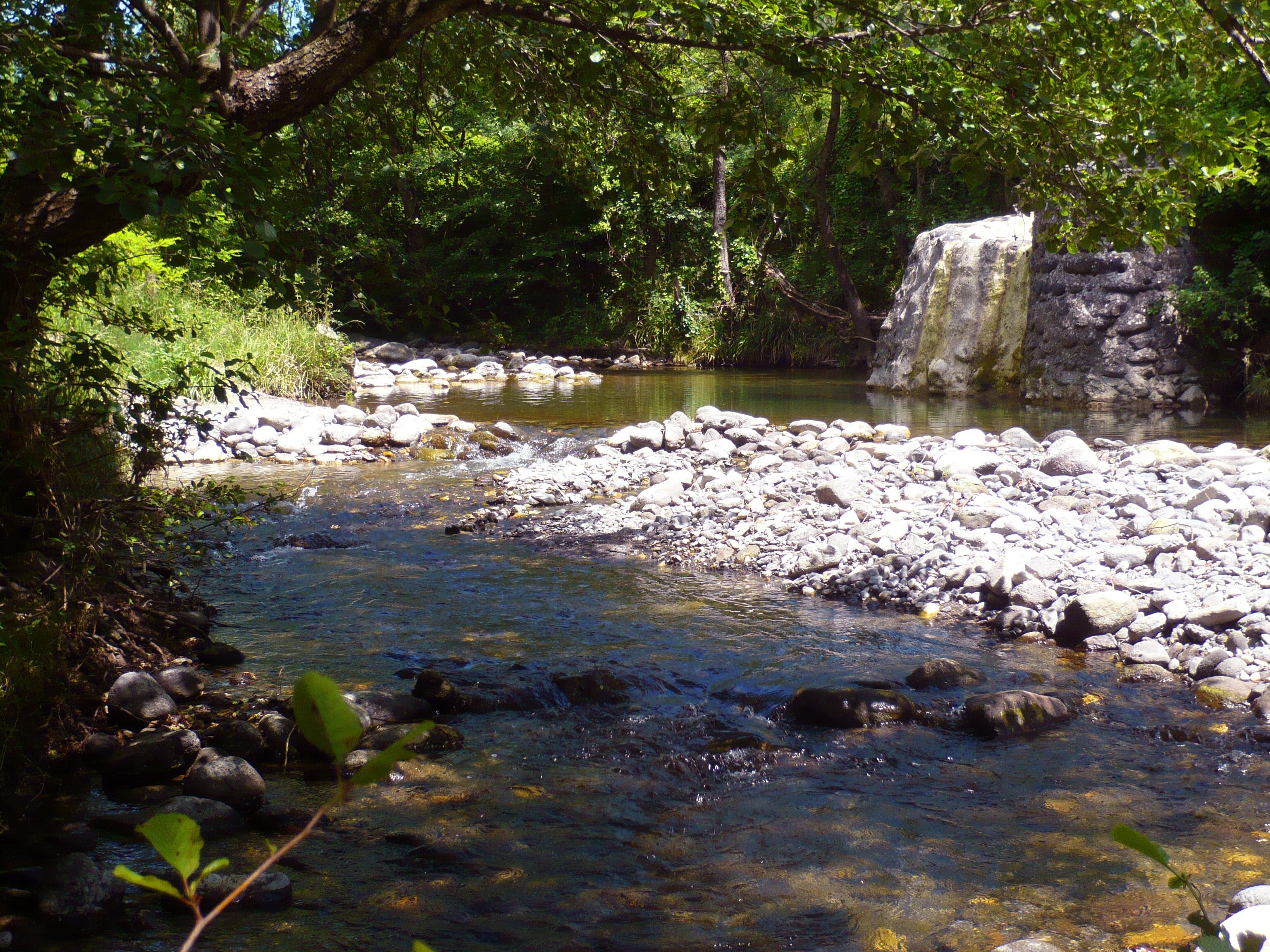 Pausado Ludo Camping