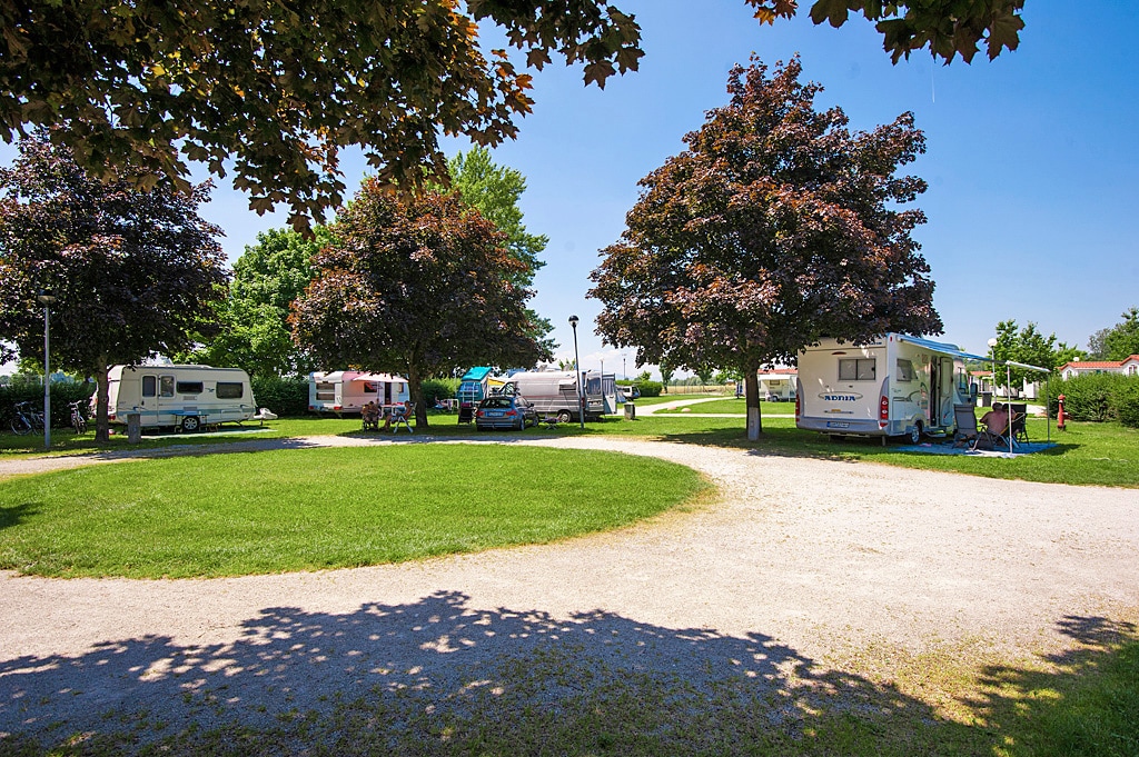 Camping Terme Ptuj – billede 3