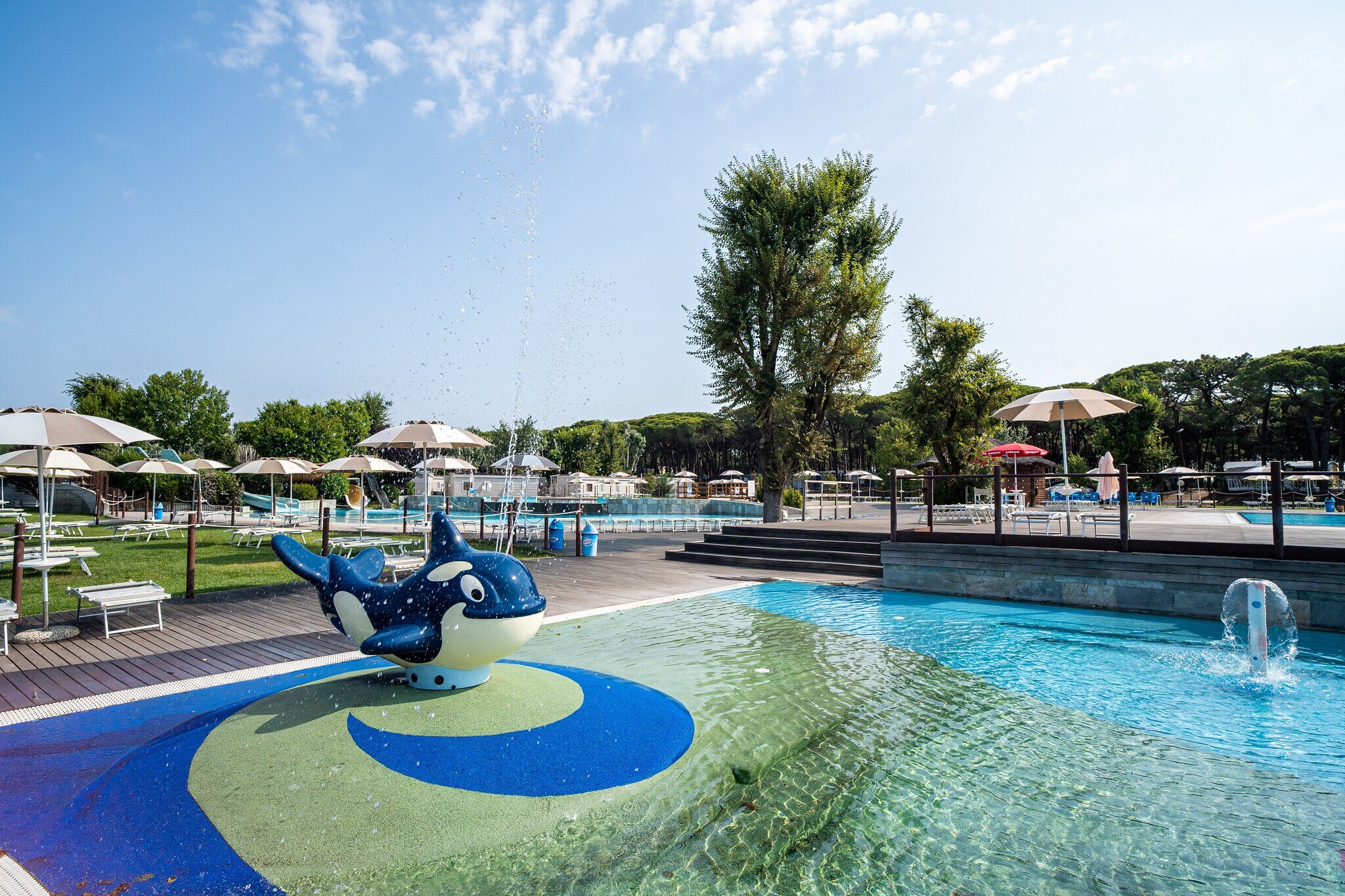 Club del Sole Spina Family Collection