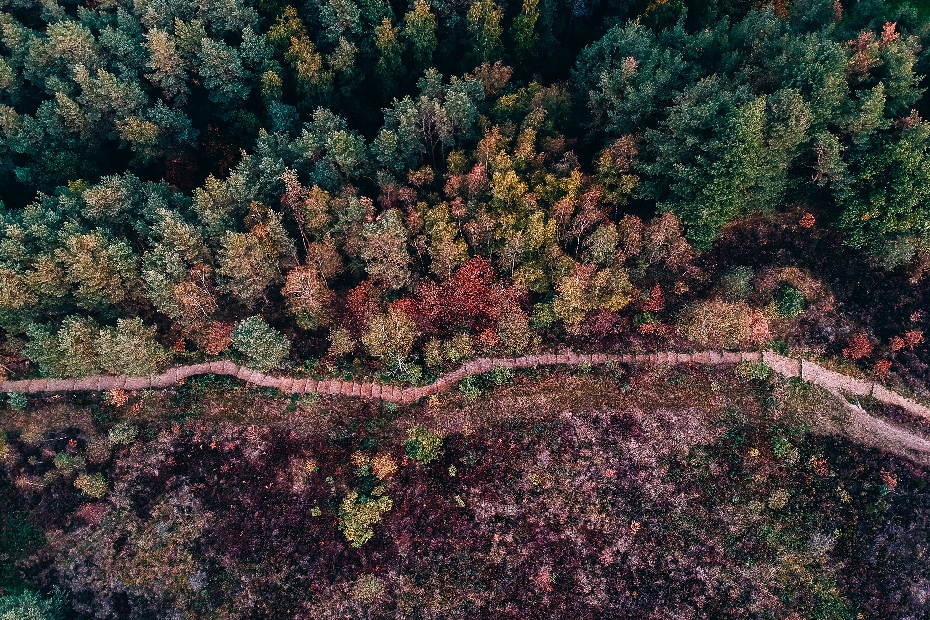 Recreatieoord Kikmolen