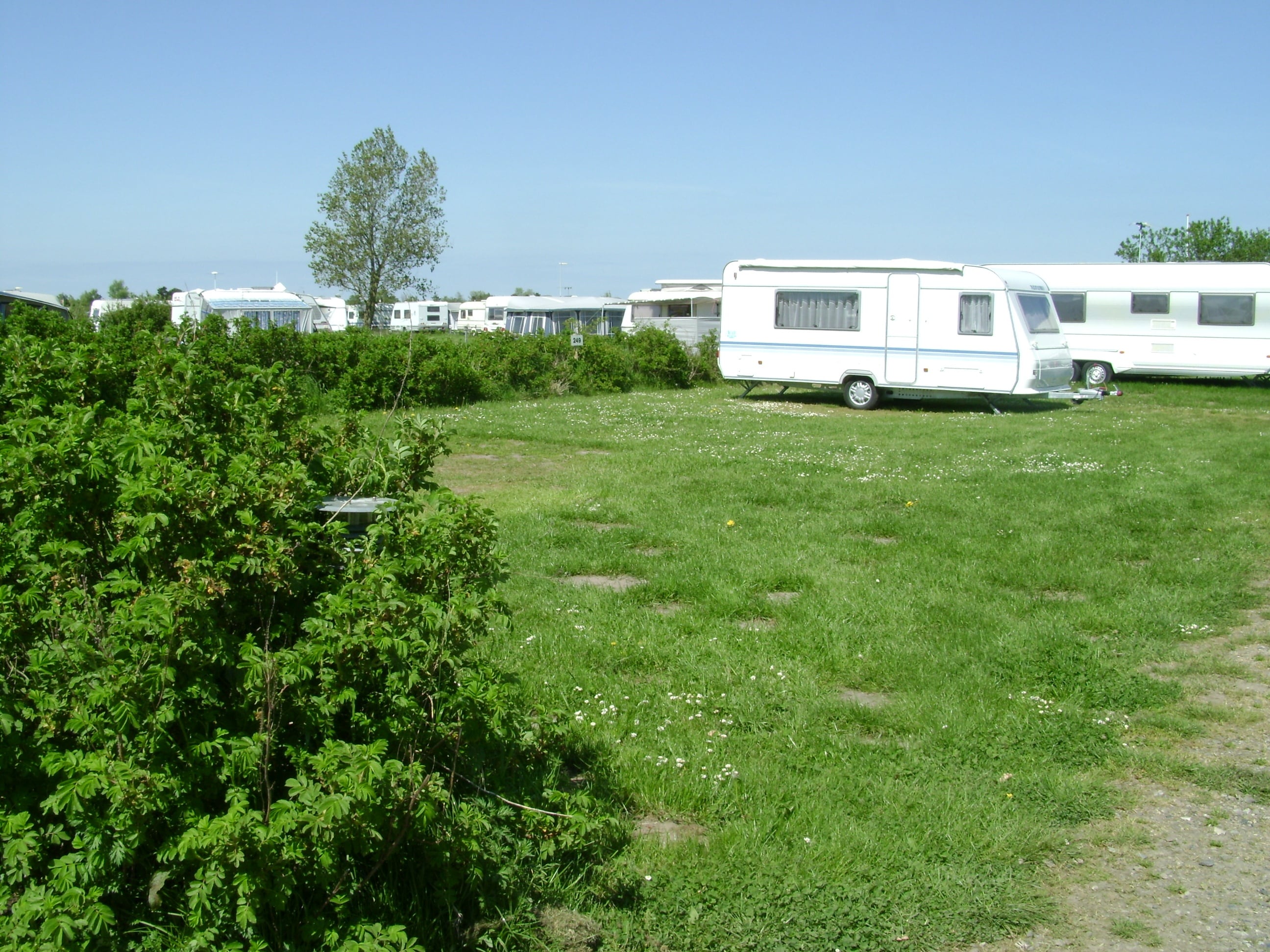 Vikær Strand Camping