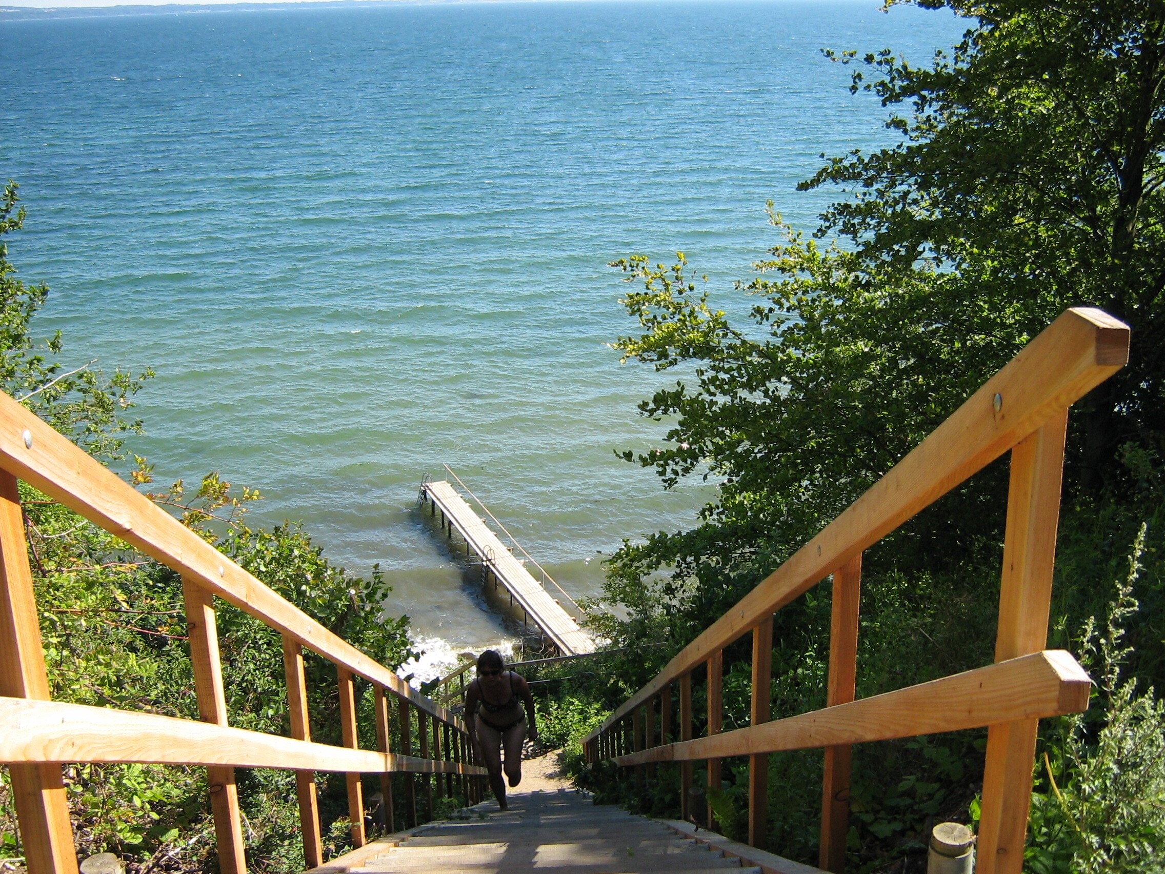 Dancamps Trelde Næs