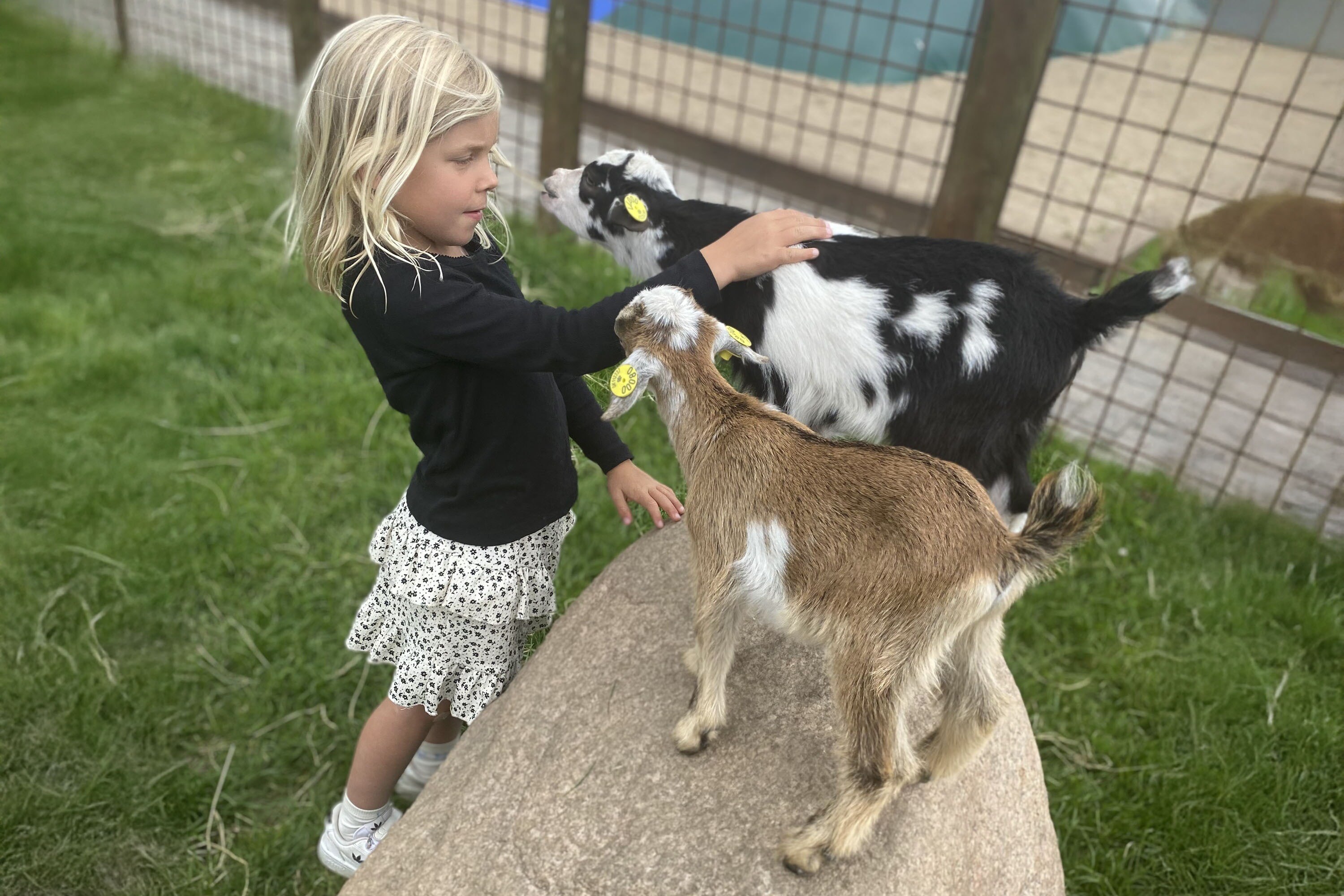 Sandager Næs Camping
