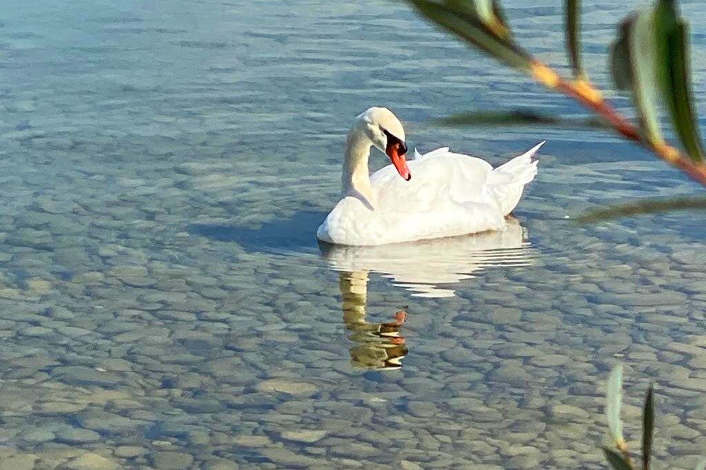 Chiemsee Strandcamping