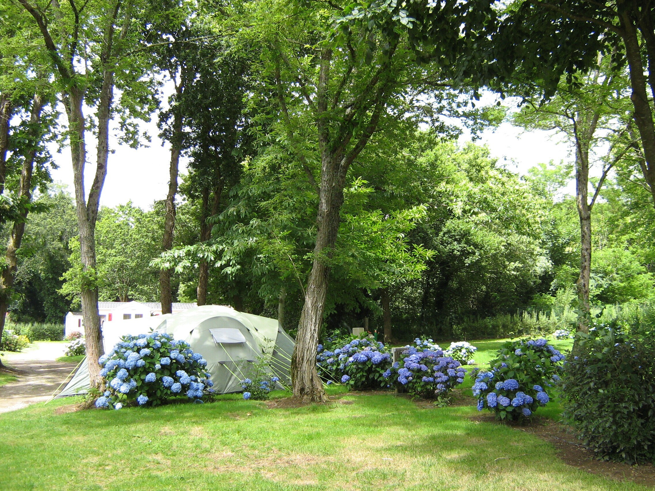 Camping Domaine de L'Orangerie de Lanniron