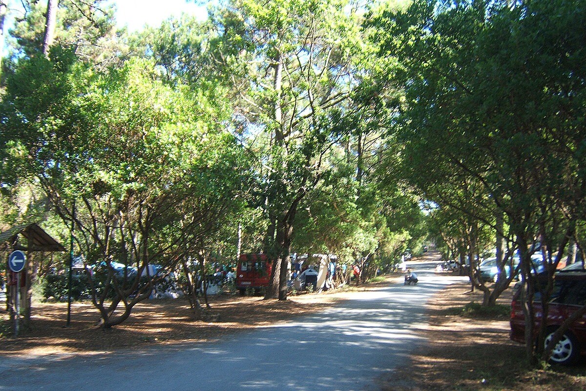 Camping Sandaya Le Truc Vert