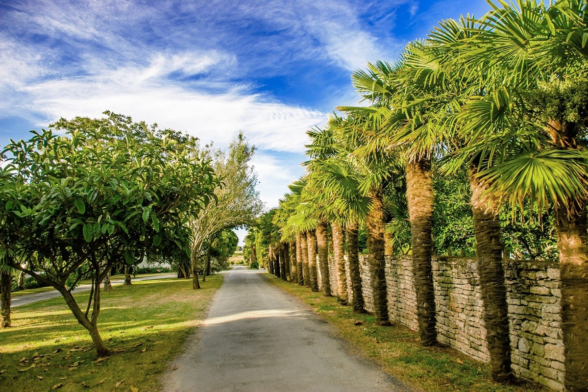 Camping Les Embruns d’Oléron