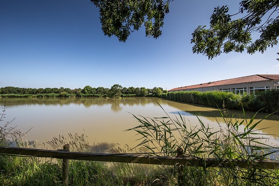 Camping Le Cottage Fleuri