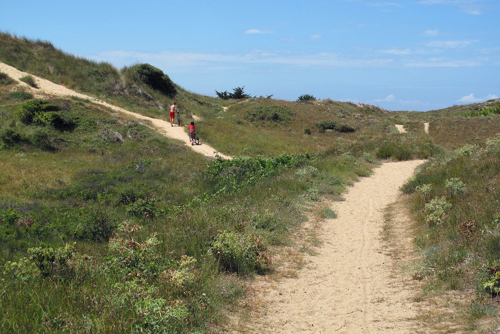 Camping Les Gros Joncs