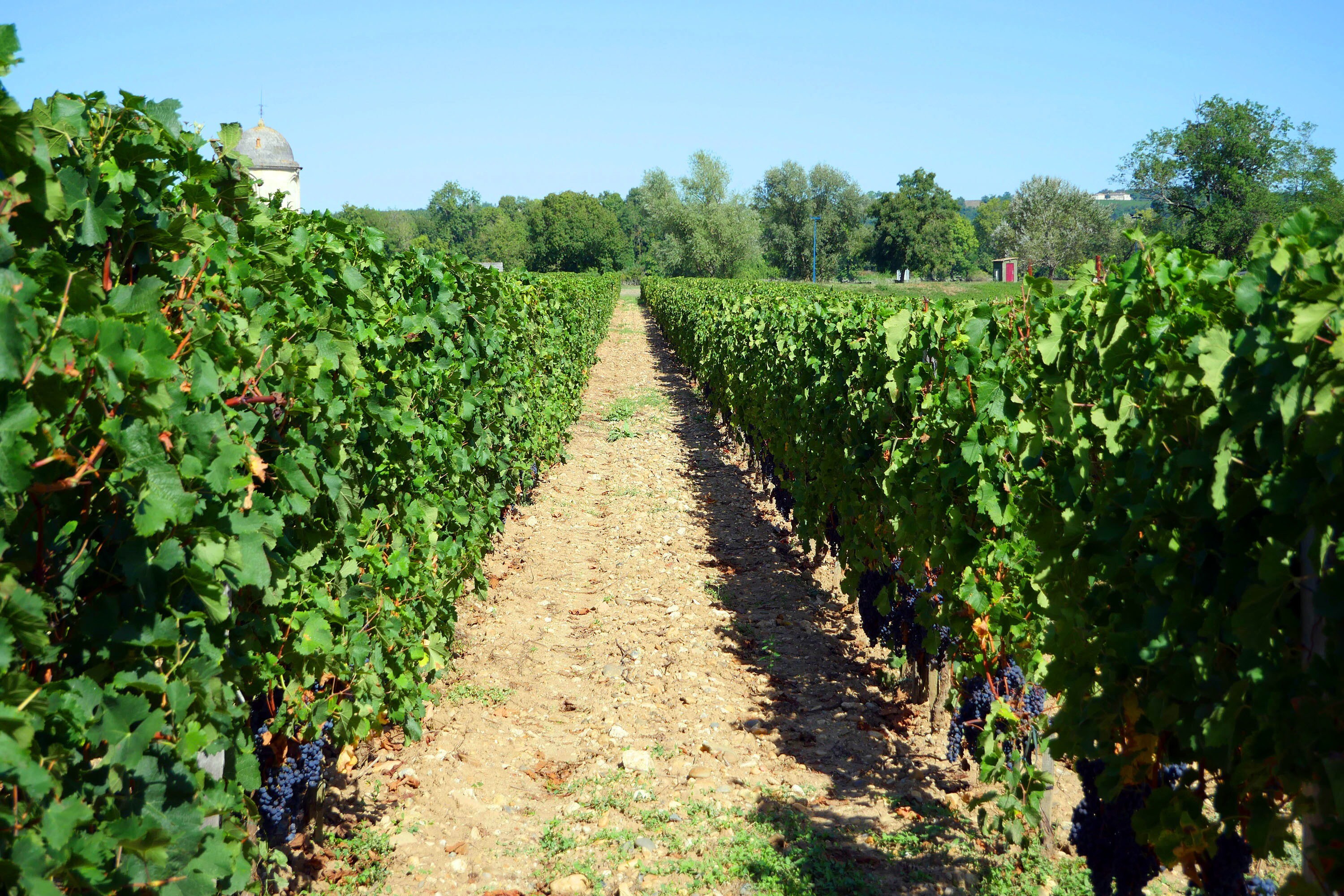 Camping Maeva Escapades Bel-Air