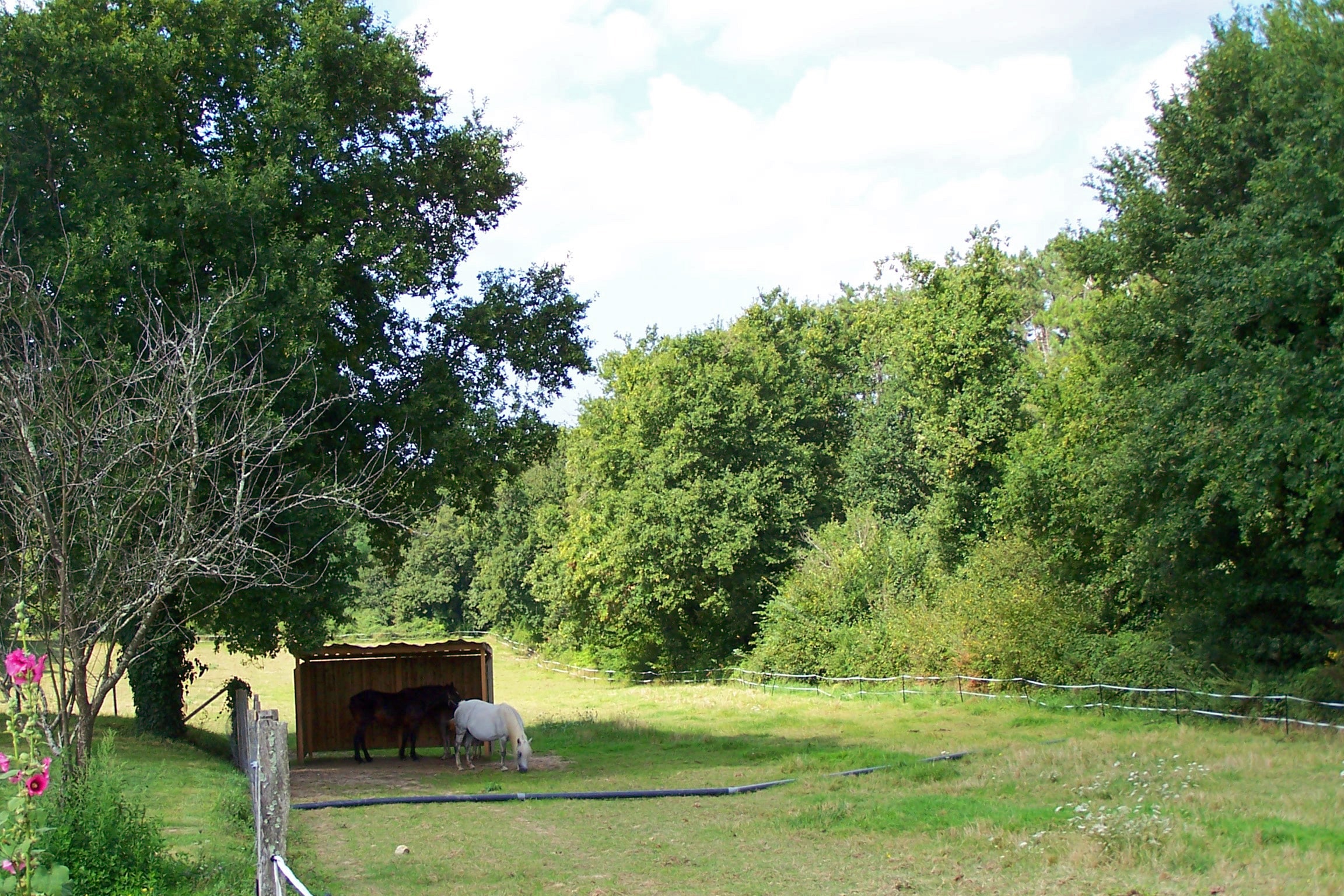 Camping Chez Gendron