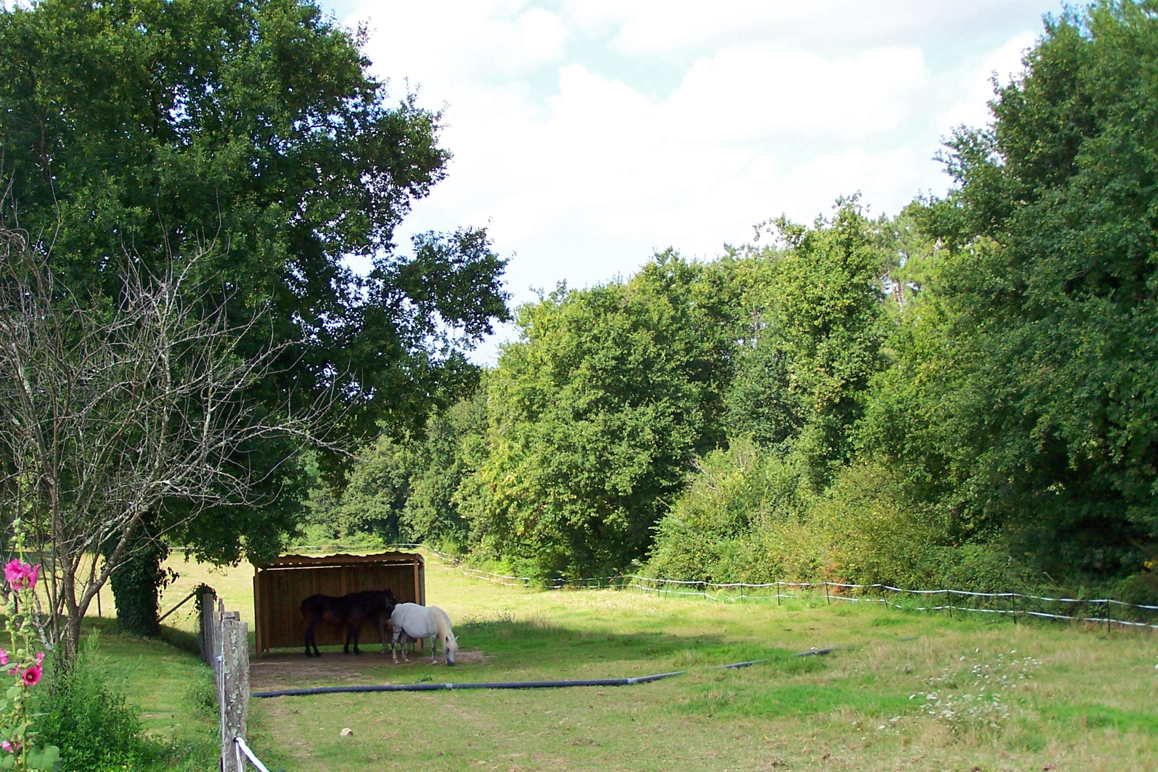 Camping Chez Gendron