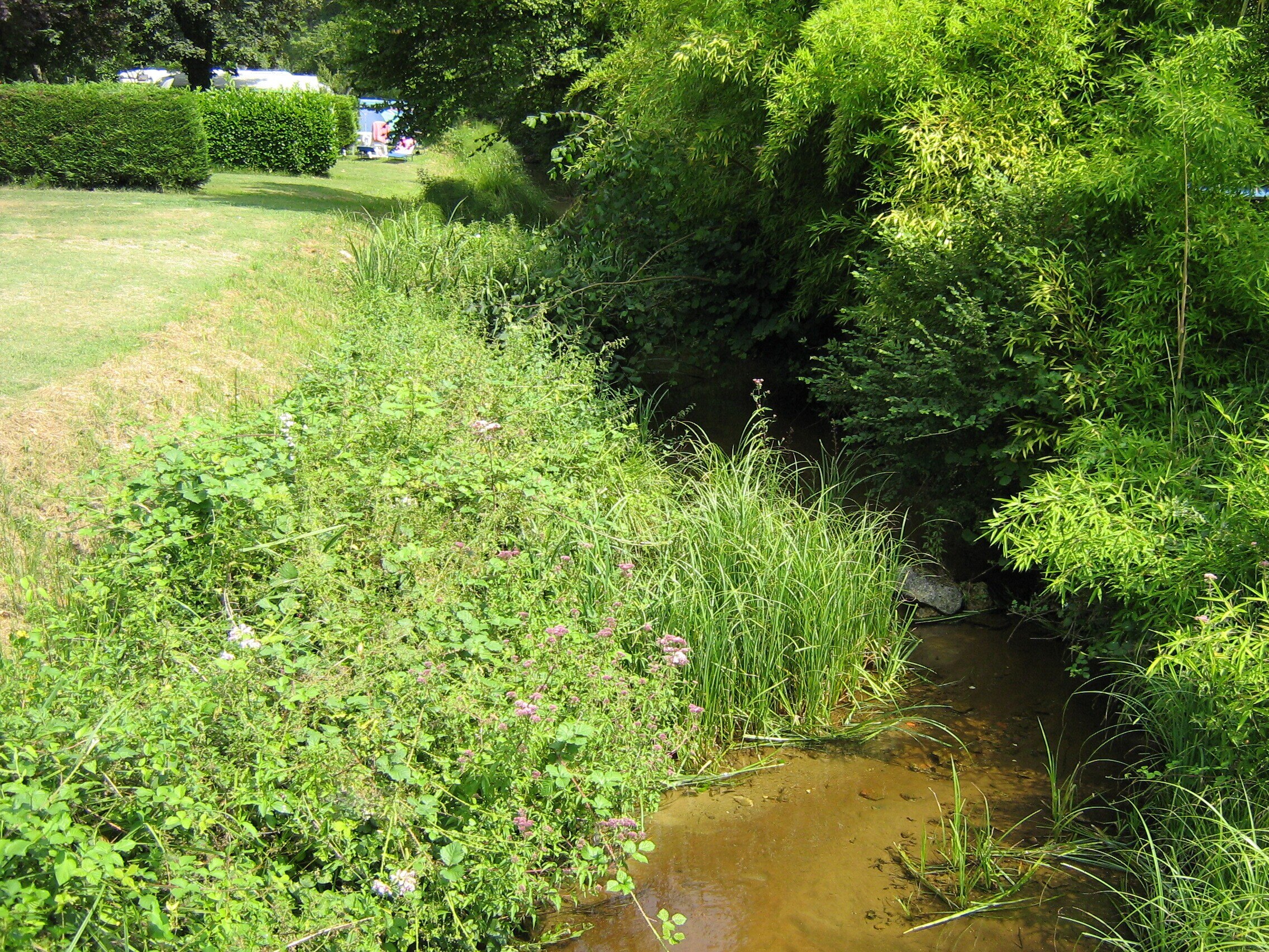 Camping Moulin de Campech