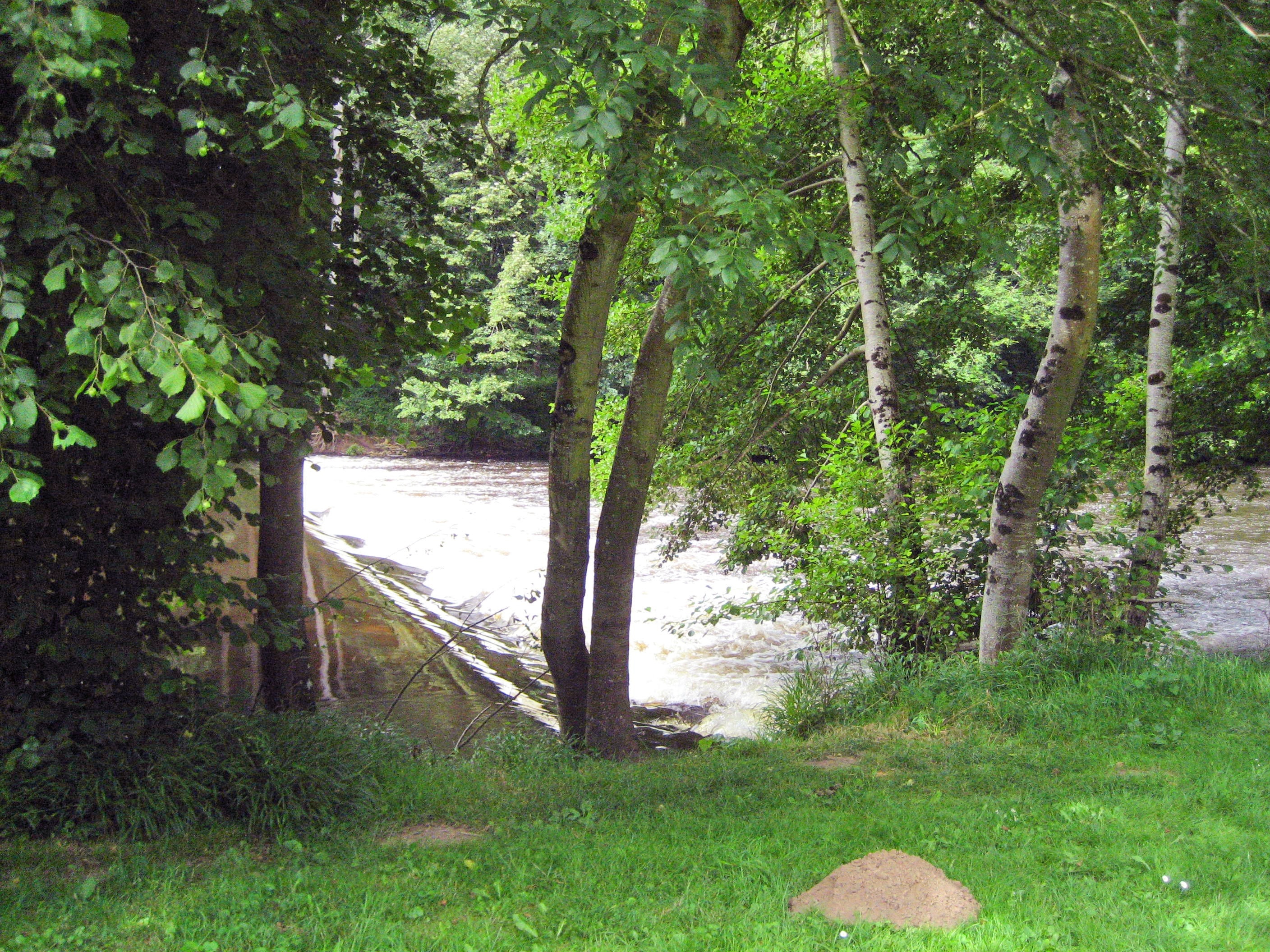 Camping Les Chambons