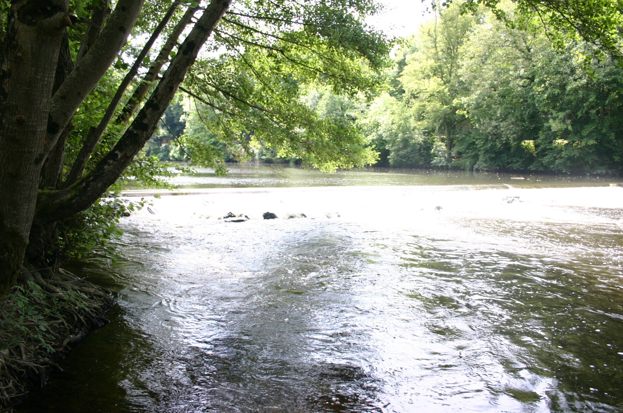 Camping Les Chambons
