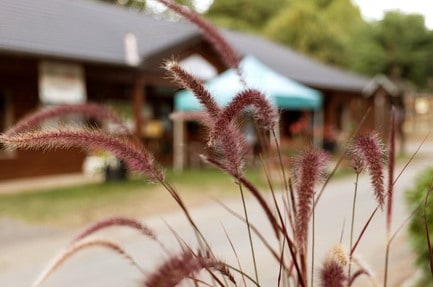 Camping Le Malazéou