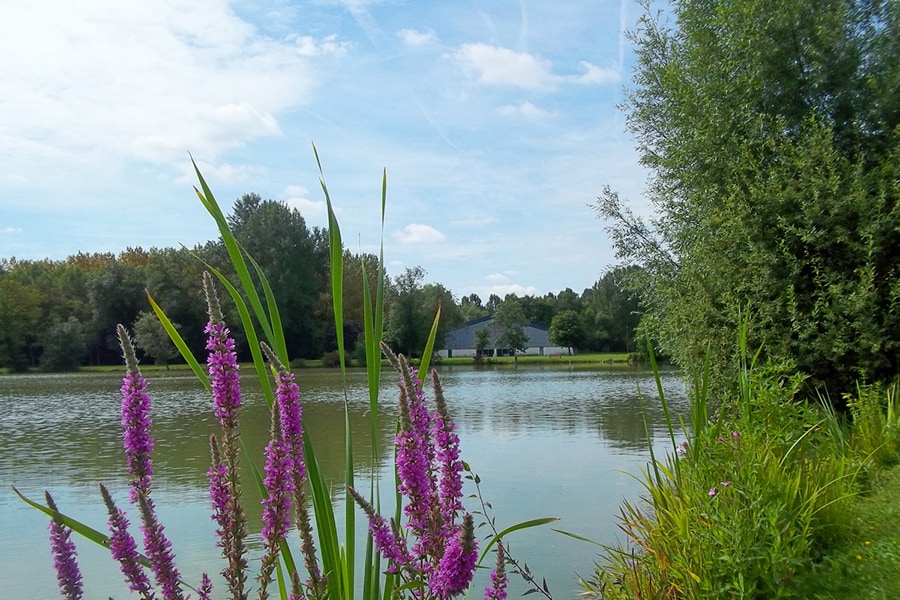 Camping de l'Aigrette