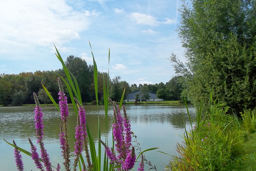 Camping de l'Aigrette