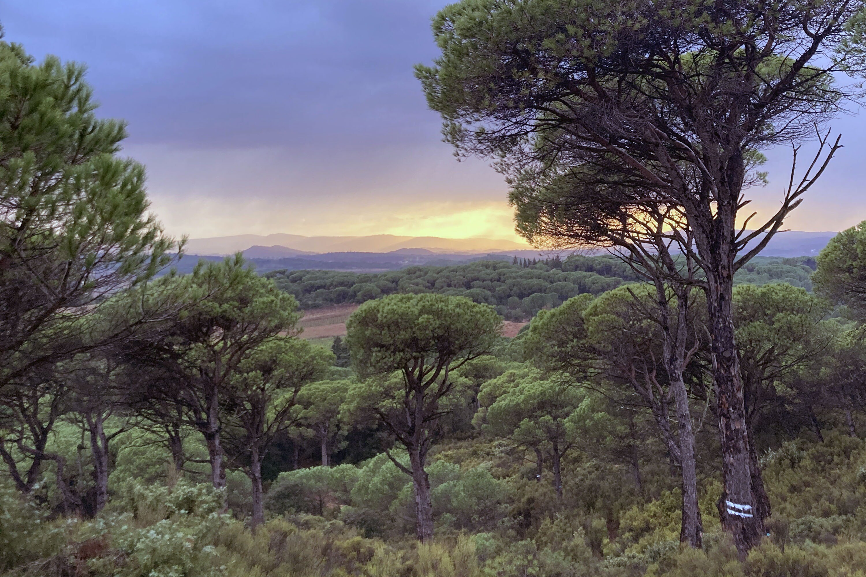 Camping Ushuaïa Villages Figurotta