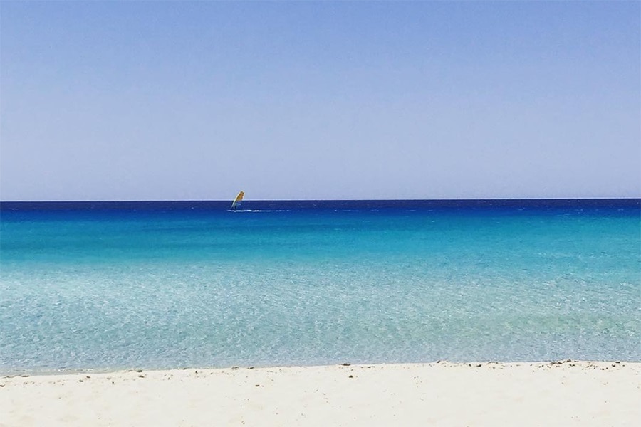 Les Méditerranées - Nouvelle Floride