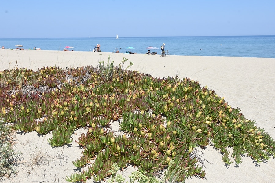 Camping Le Palais de la Mer