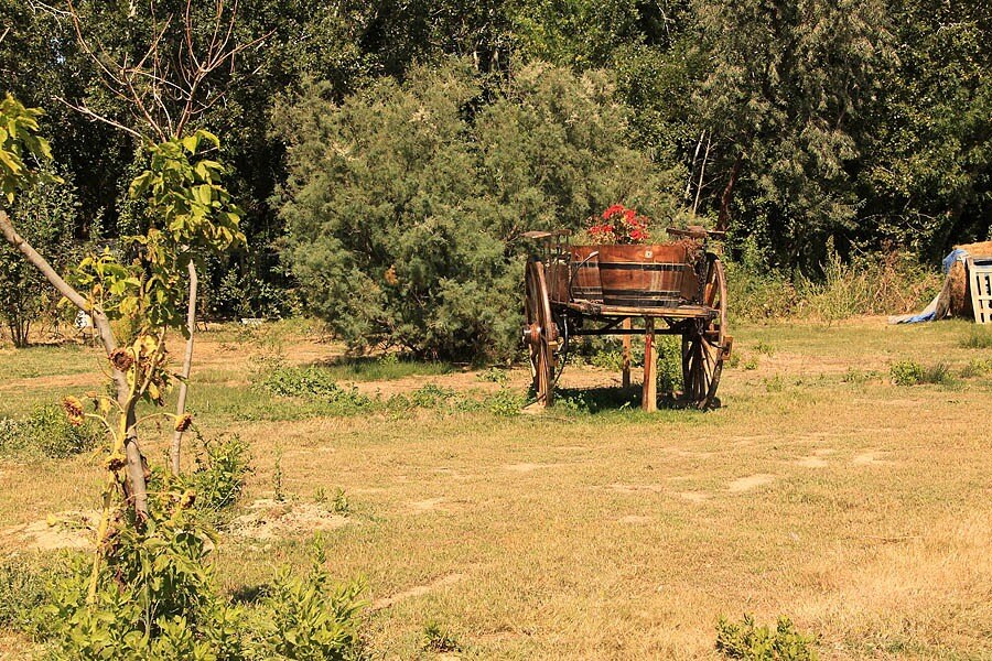 Camping Le Palais de la Mer