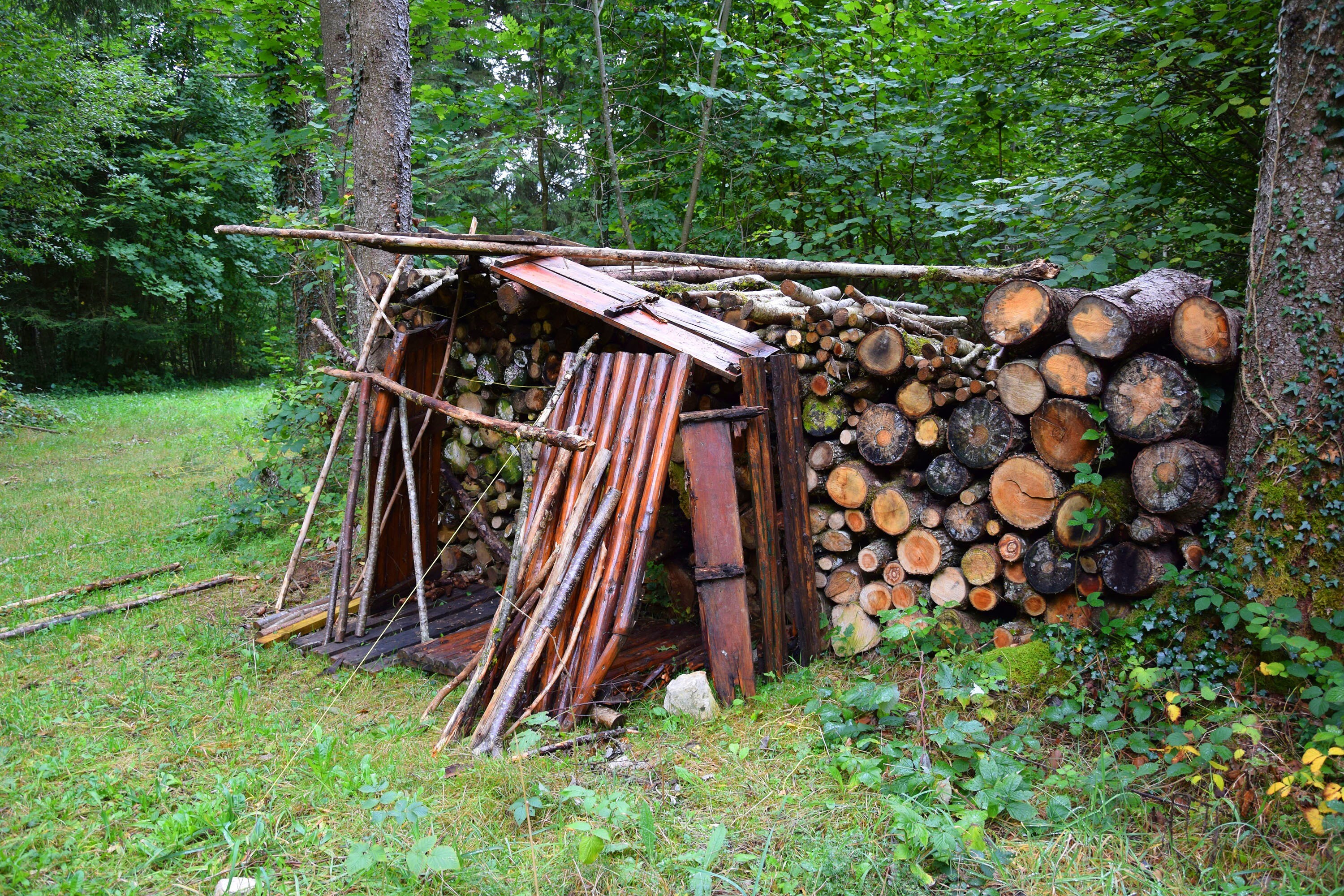 Flower Camping De la Forêt