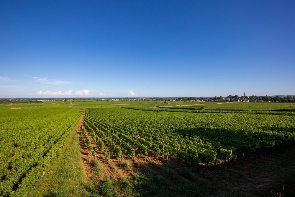 Camping Les Premières Vignes Onlycamp