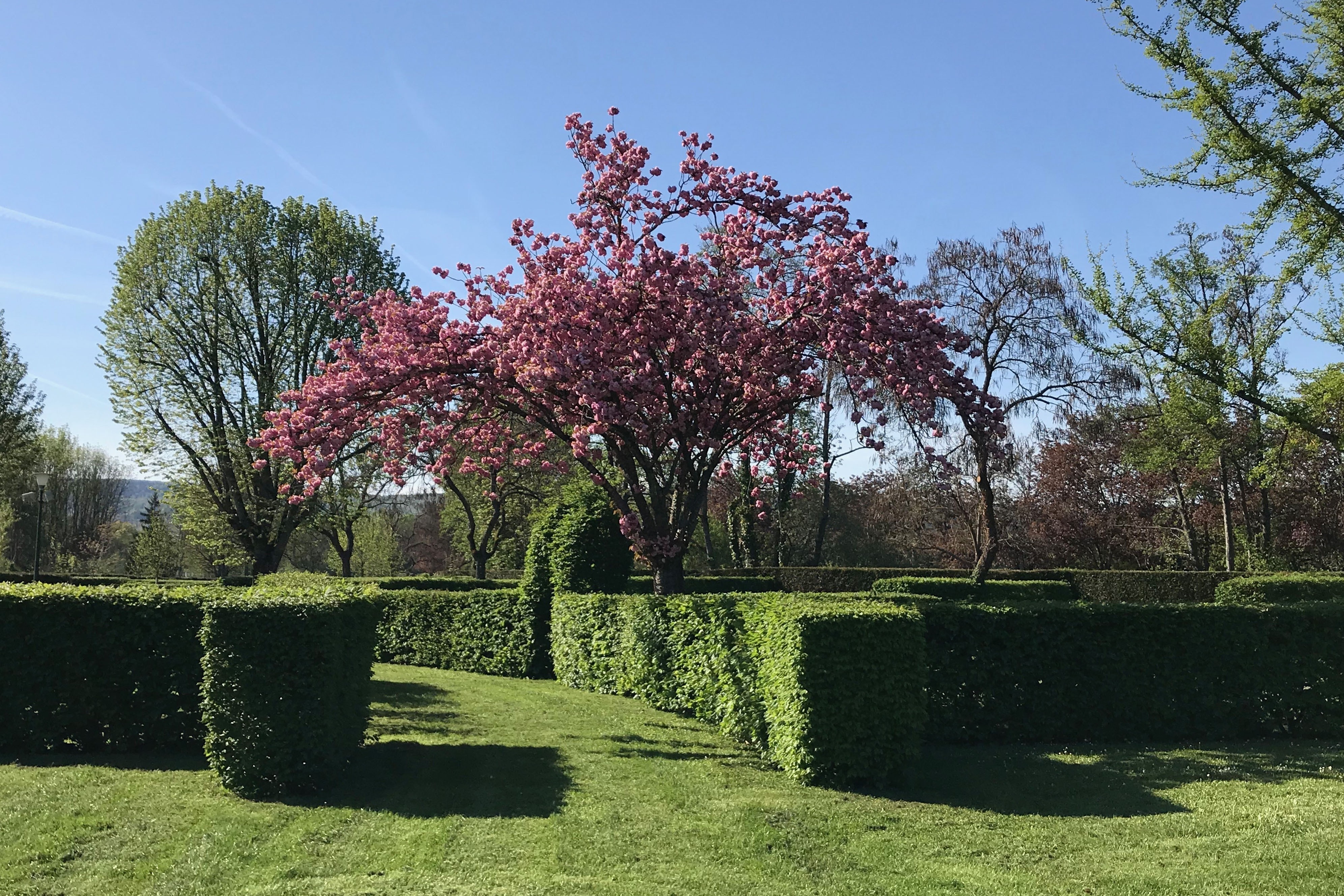 Camping Pâquier Fané