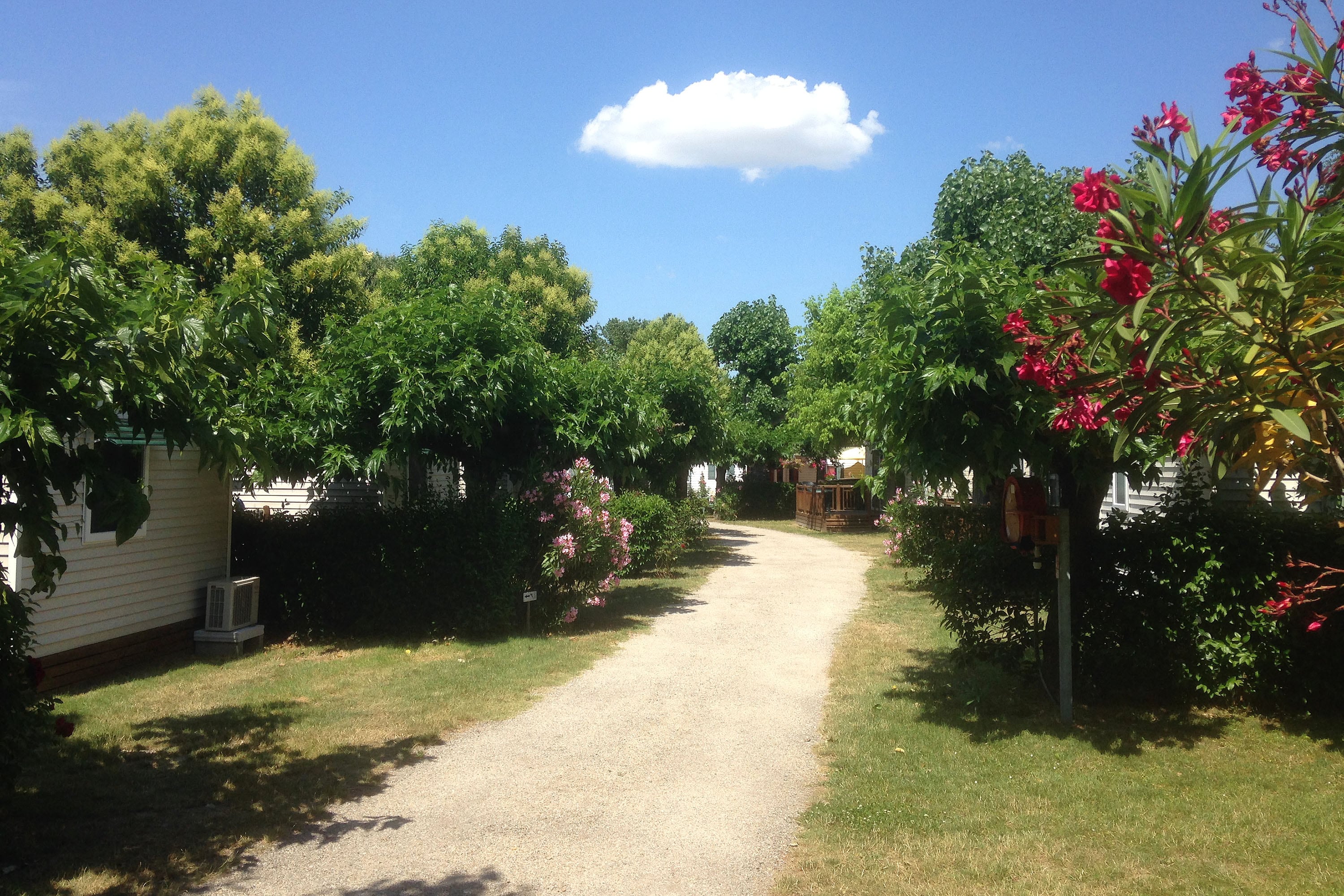 Camping Saint Gabriel afbeelding 2