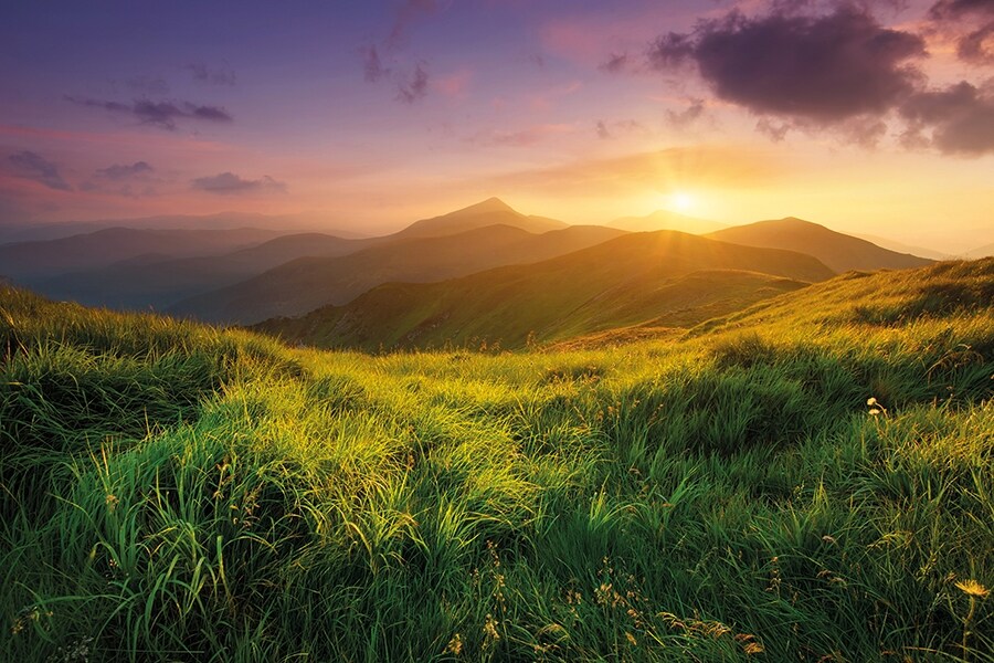 Camping Sunêlia Domaine de Champé