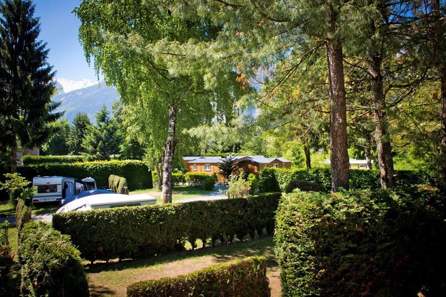 Flower Camping à la Rencontre du Soleil