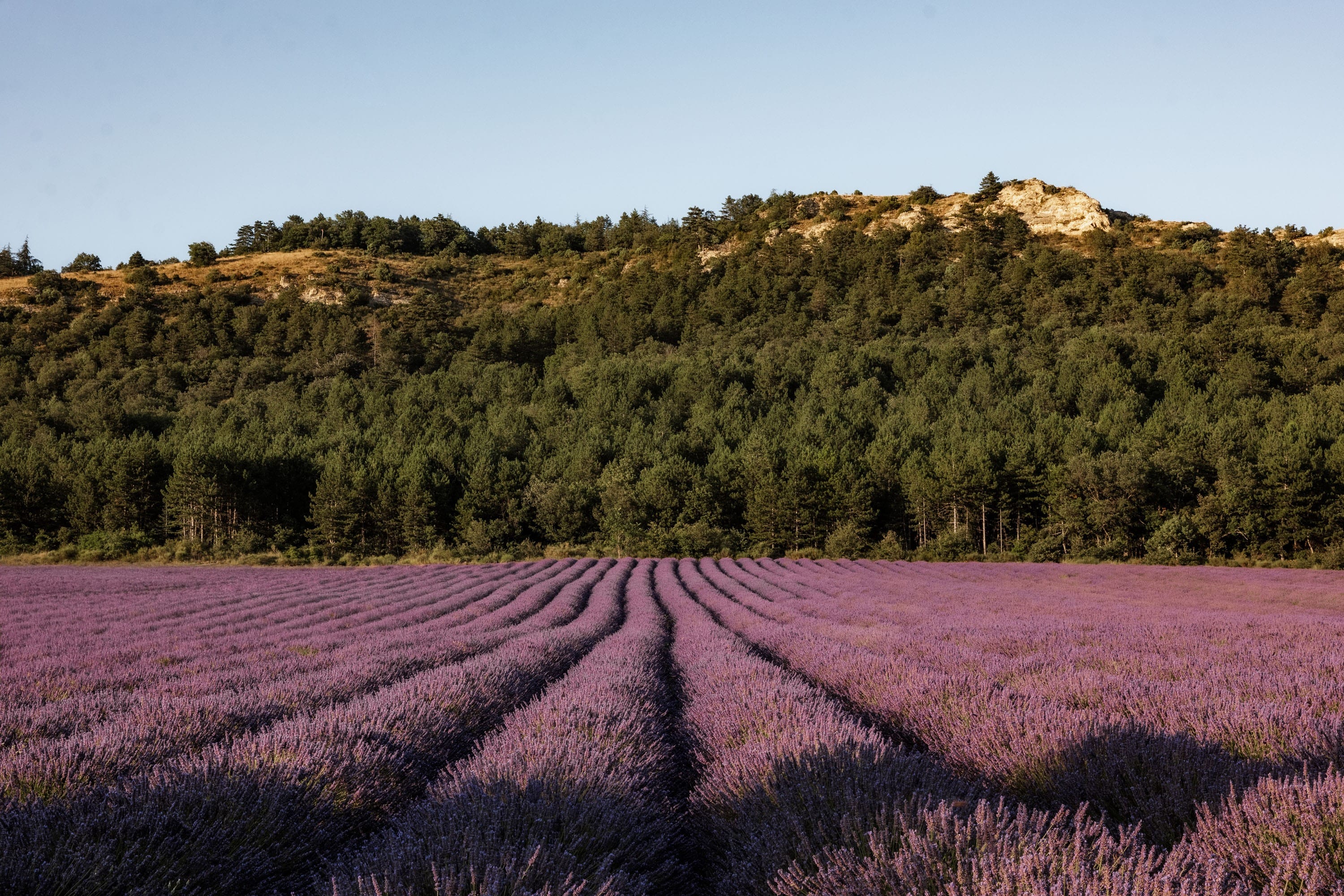 Camping Sunêlia l'Hippocampe