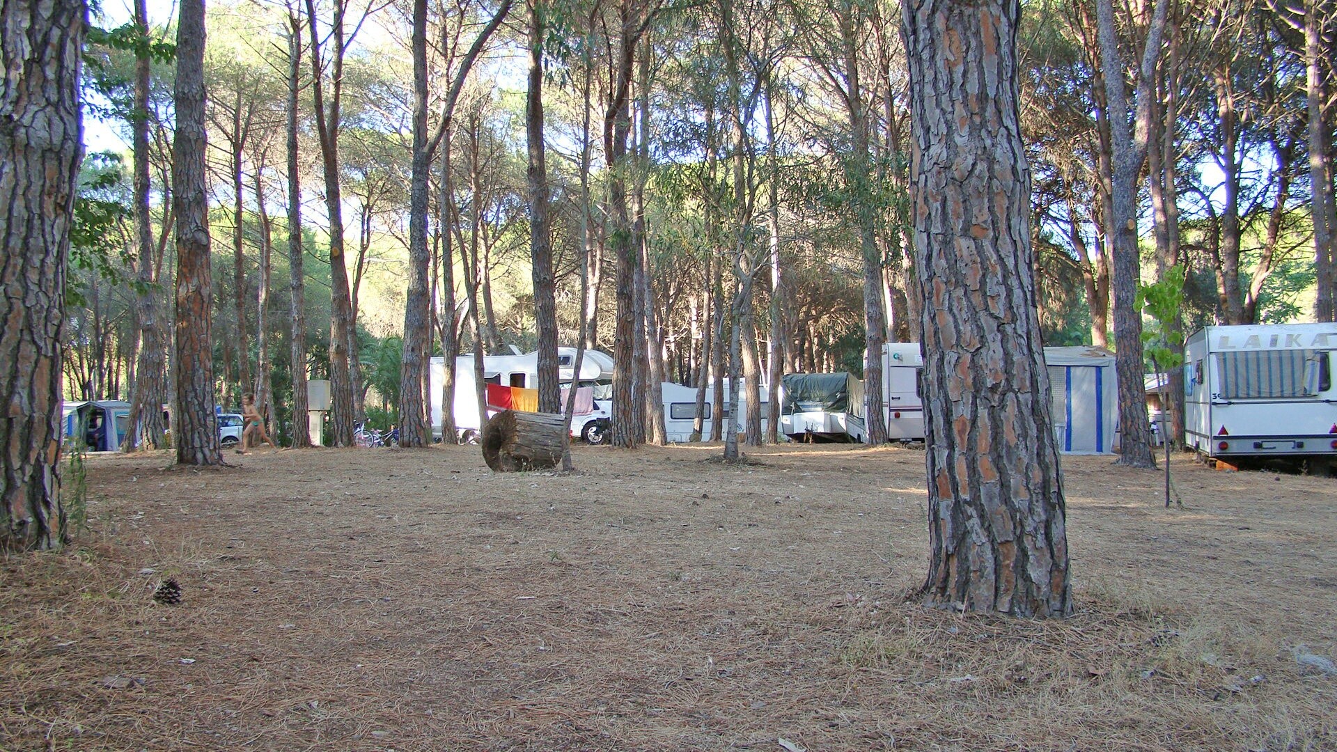 Selema Camping