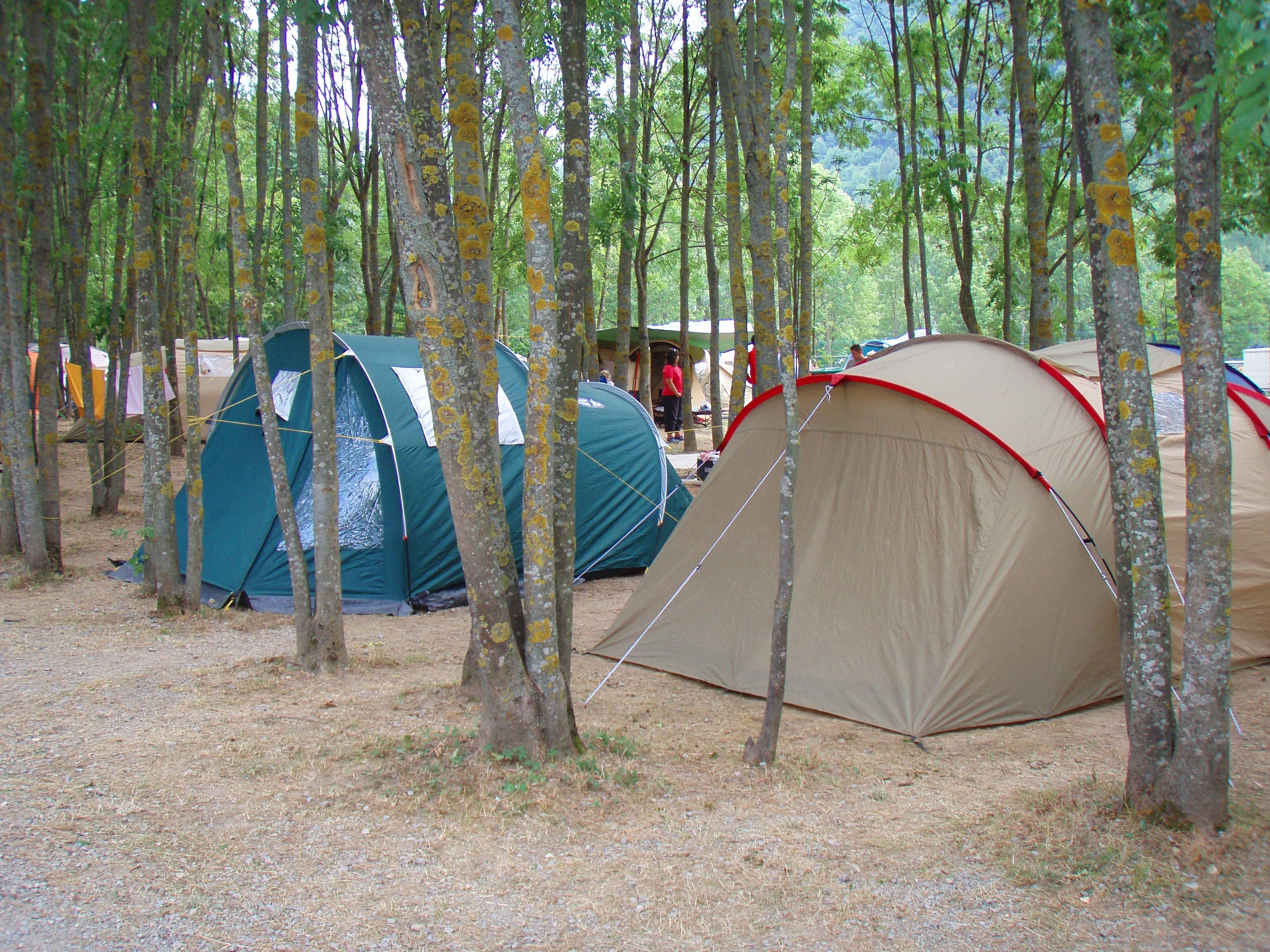 Campeggio Valle Gesso